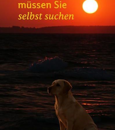 Fewo Ostseele - Tosi Timmendorfer Strand Kültér fotó