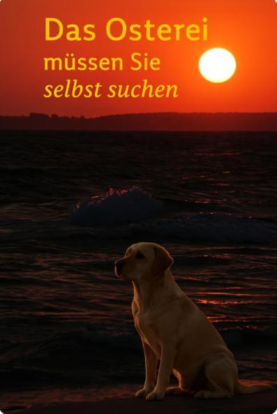 Fewo Ostseele - Tosi Timmendorfer Strand Kültér fotó